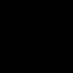 Meet your Posher, Joselyn